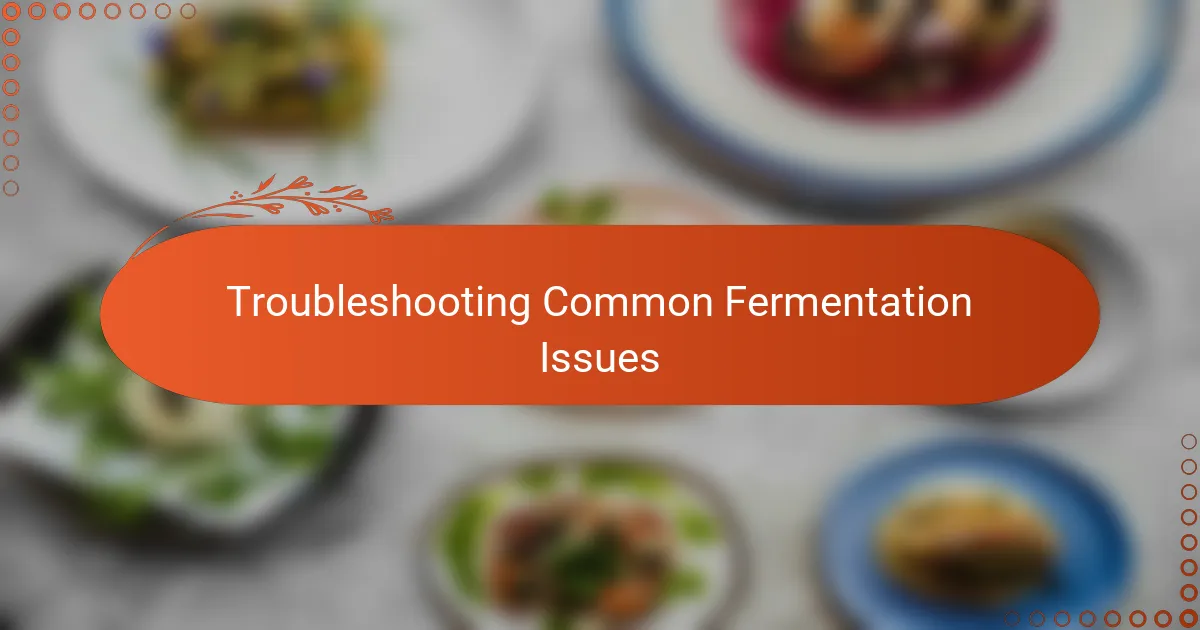 Troubleshooting Common Fermentation Issues
