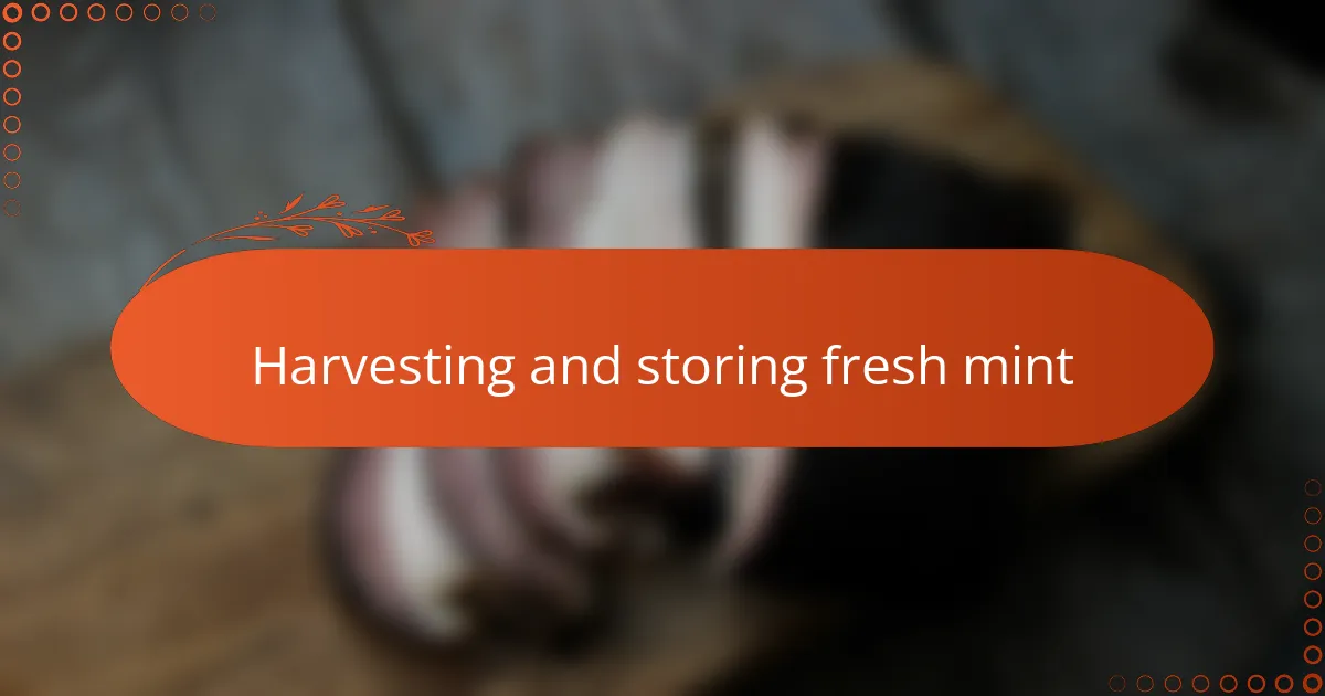 Harvesting and storing fresh mint
