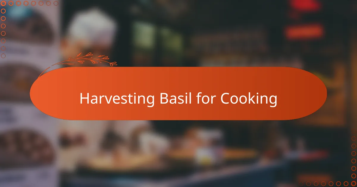 Harvesting Basil for Cooking