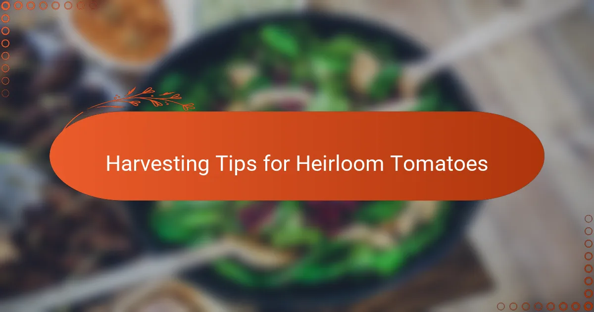 Harvesting Tips for Heirloom Tomatoes