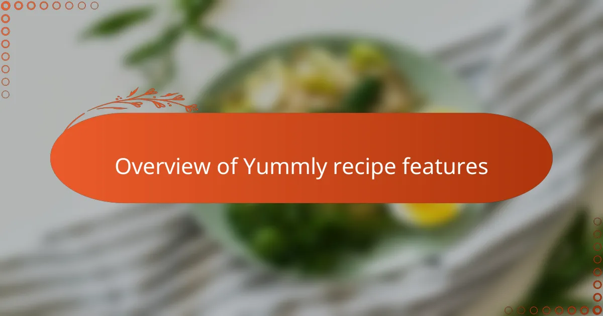 Overview of Yummly recipe features
