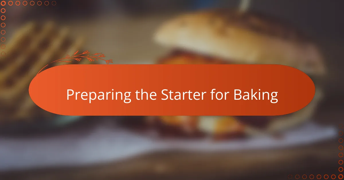 Preparing the Starter for Baking