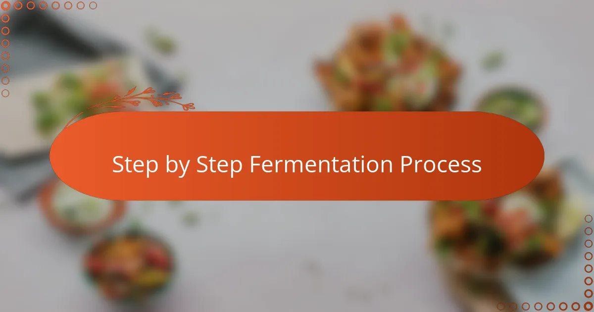 Step-by-Step Fermentation Process